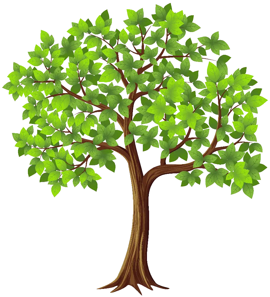 Graphic image Lovely Tree Without Background For Word Page Corner