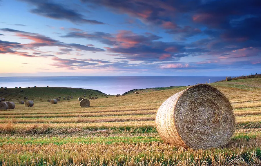 Best 2022 laptop wallpaper with a brilliant design of straw rolls in a beautiful farm