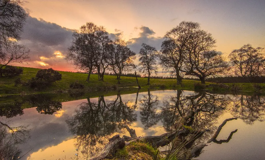 Magical nature poster with lovely reflection of trees in the lake
