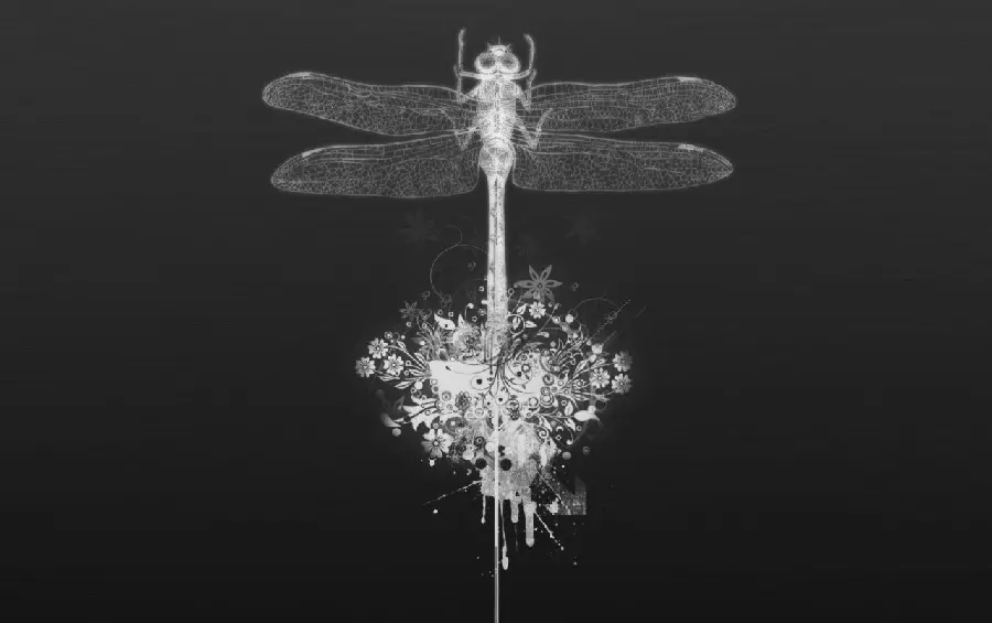 Download black and white dragonfly photo for profile