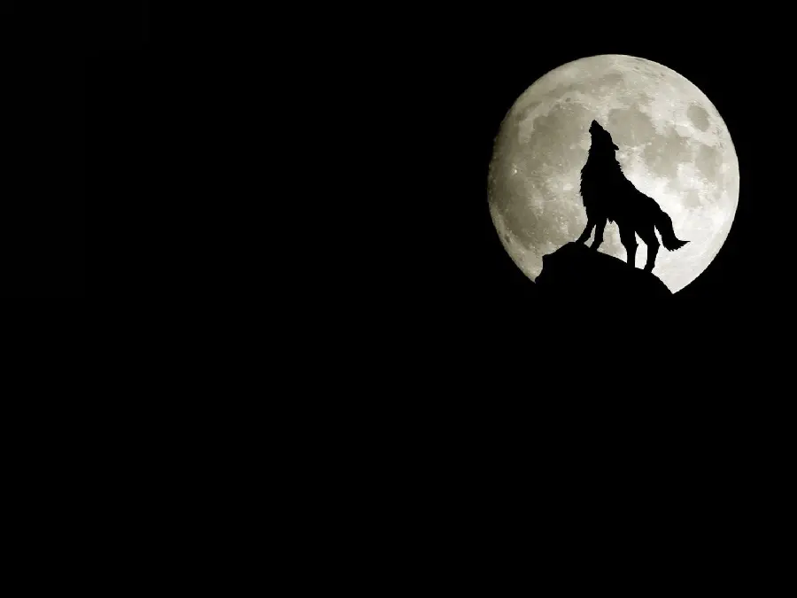 A special and new background of a wolf and the moon with a black theme