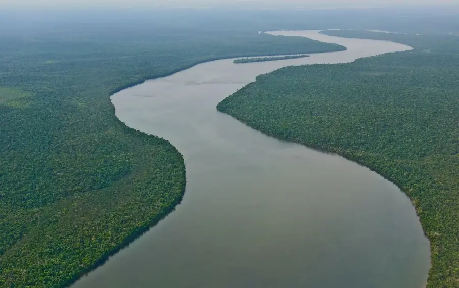 Image of the Amazon River, the second largest river in the world, from above