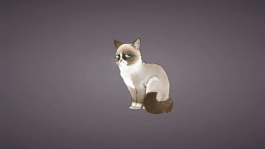 Most Viewed Tired Cat Drawing in Full HD Quality