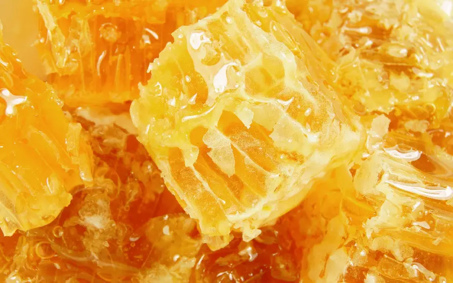 Free Download of Delicious and Charming Honey Profile Pictures in HD Quality