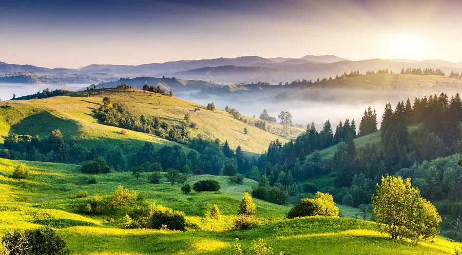 New Wallpaper of Lush and Spectacular Nature in the Sunlight for Windows 12