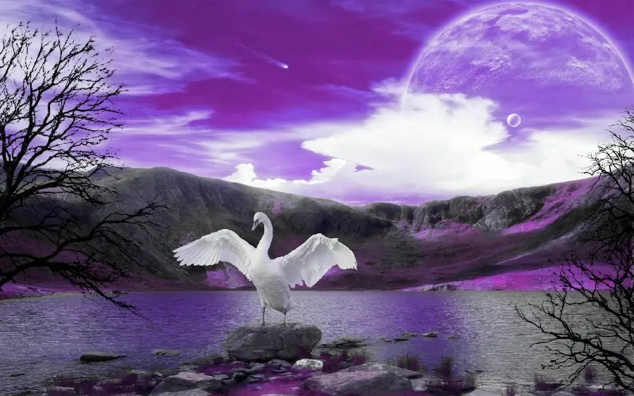 Graphic image of a white swan with open feathers with a purple dream theme