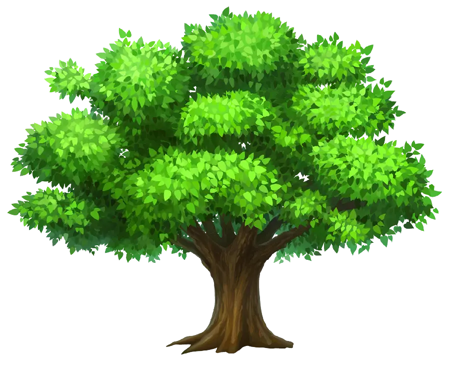 Download Fantasy Tree Photo with Blank Background for Photoshop