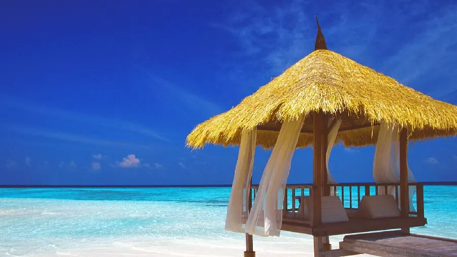 Single Sun Gazebo Beach House Image with Wooden Thatched Roof and Blue Sky in High Quality