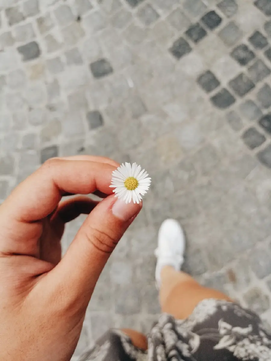 Download Stock Image of Tiny and Small Enamel Flower Suitable for Tablet