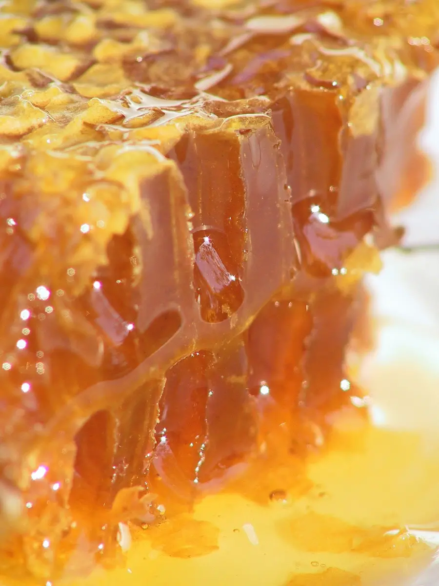Close and pleasant image of delicious and transparent beeswax for Instagram post