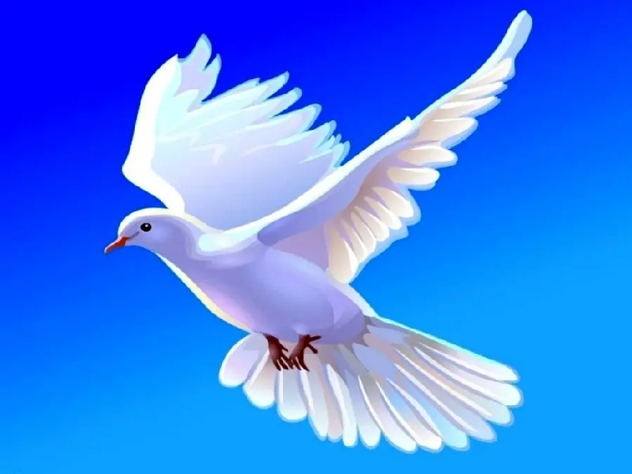 Amazing fantasy photo of white dove on the blue sea background