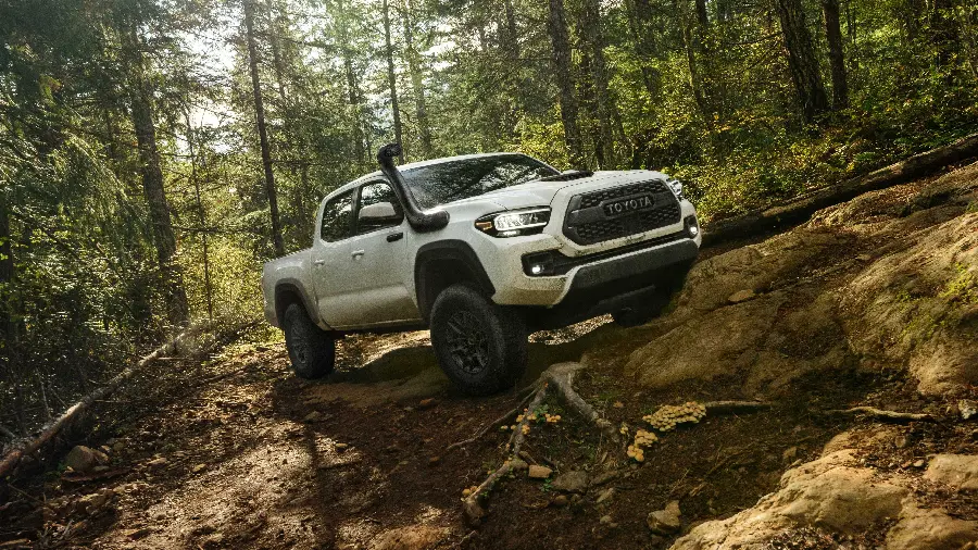 Stock photo with a view of a lush forest and a shiny Toyota Tacoma suitable for social networks
