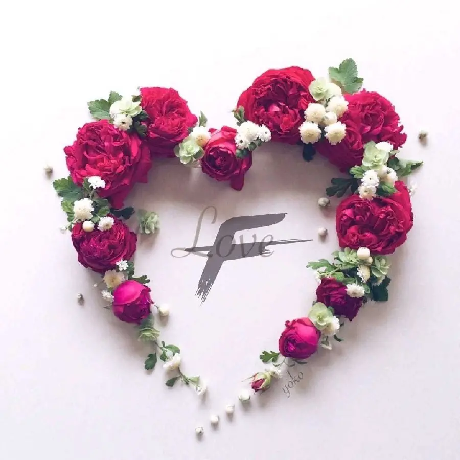 The cutest beautiful profile photo of the letter F with red and white flowers in the shape of a heart in excellent quality for your phone