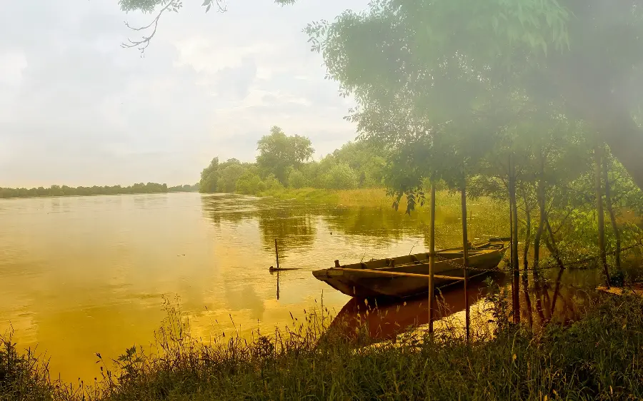 Unpolluted stock image of living nature and the photo of the forest landscape and a simple boat next to it
