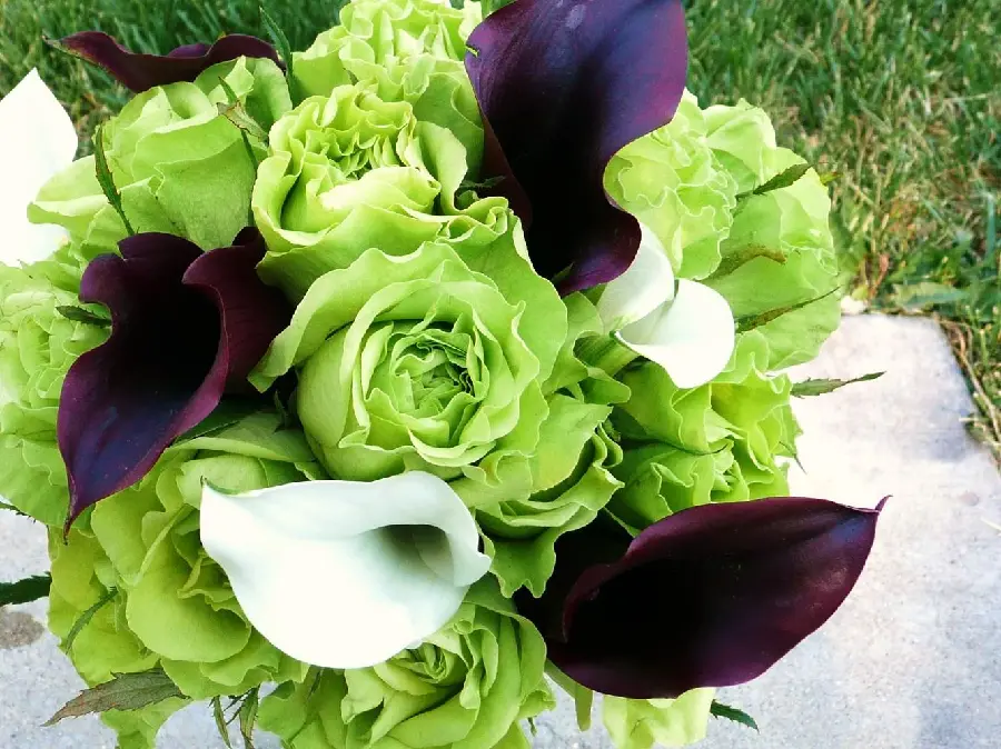 Modern background of a bunch of green roses with a trumpet flower suitable for wallpaper