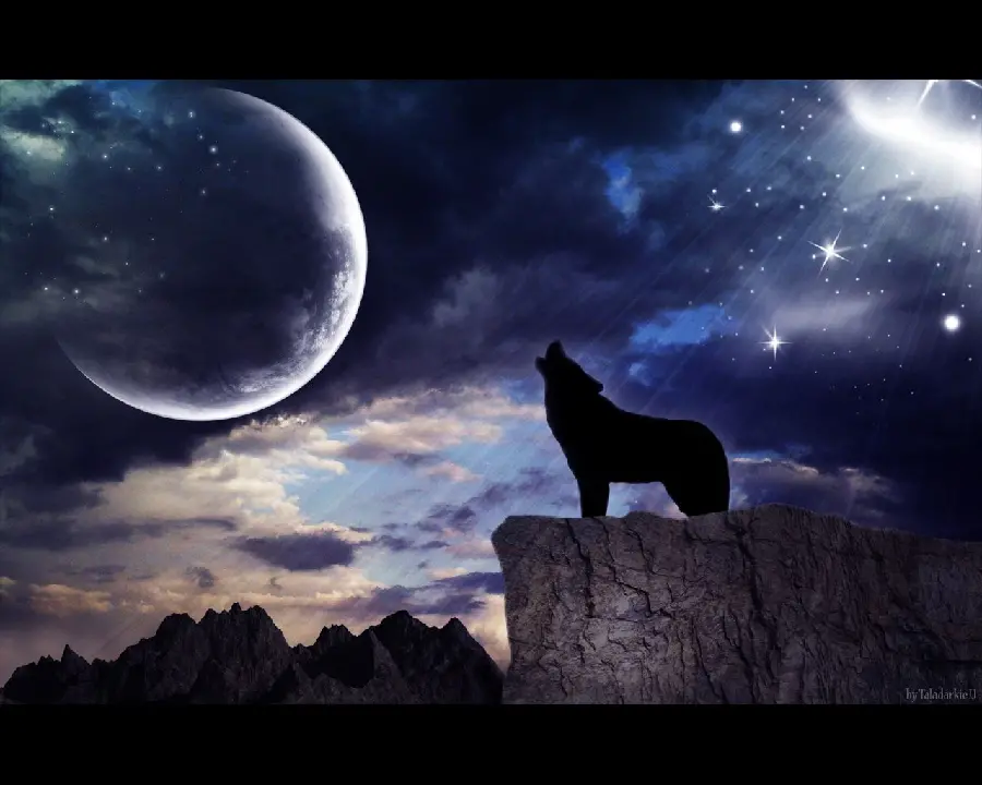 Admirable HD quality wolf and moon photo 