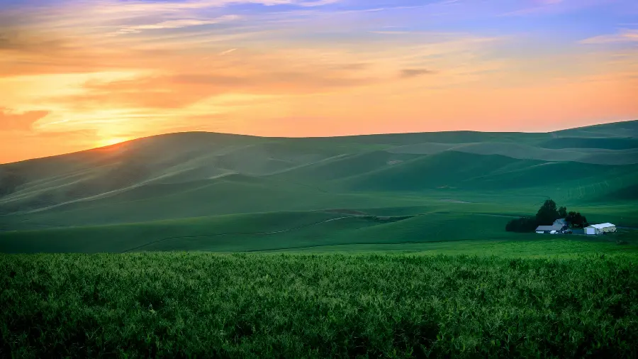 Beautiful Full HD background of a lush landscape in the light of the sunset