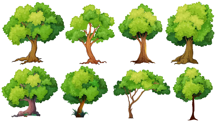 Download Famous PNG with High Quality Tree Designs