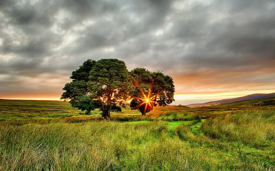 The Most Beautiful Stock Photo of a Lush Landscape for Profile