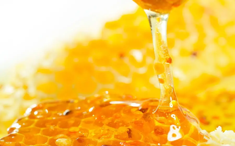 Free download of a gorgeous image of fresh and delicious honey for sales advertising 