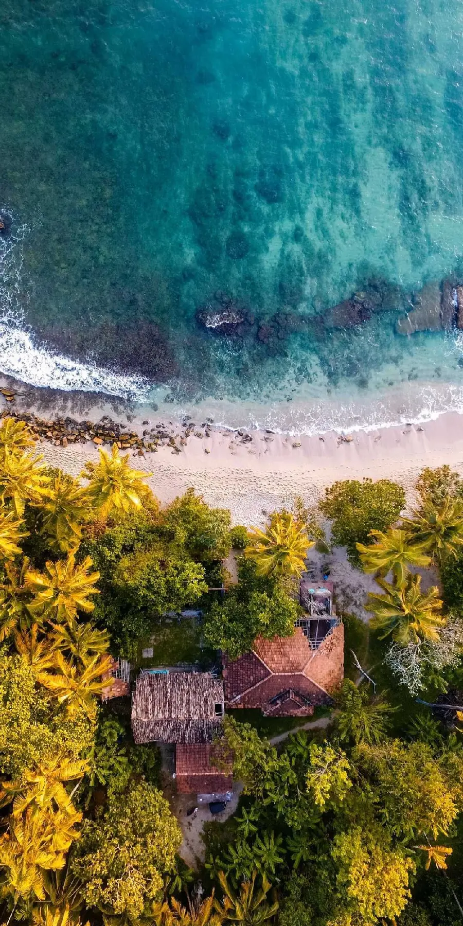 Cute poster from the top view of a beach house villa with a sunshade and many trees in front of the endless sea