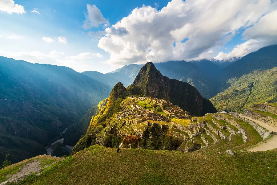 The most special background image of the living and pure nature of the city of Machu Picchu in full quality suitable for laptops