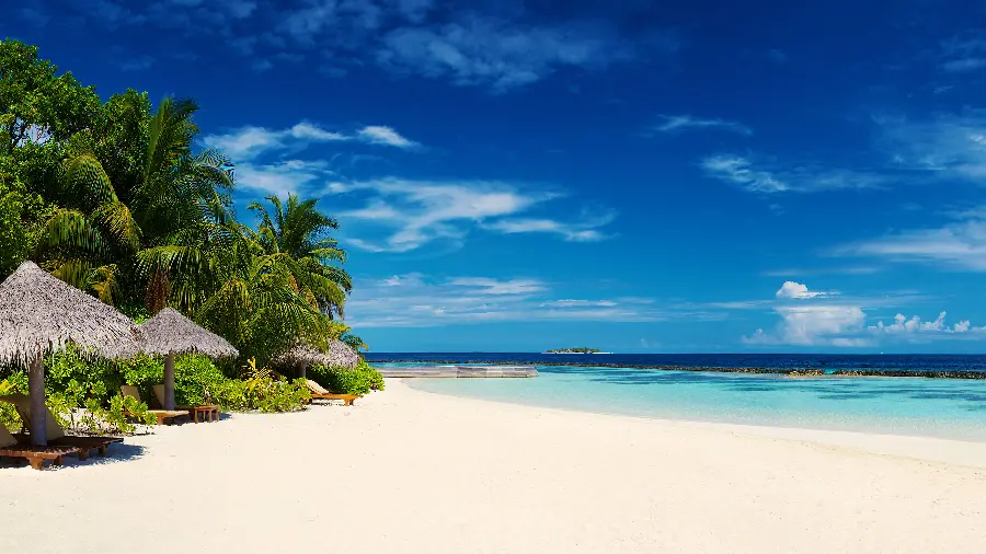 Magnificent wallpaper of a pleasant sea beach for Windows 11