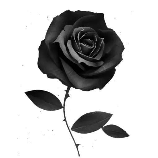 The latest black flower photo for the corner of the condolence card