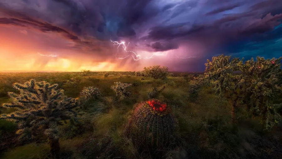A masterpiece 8K image of a lush landscape in a colorful sunset sky