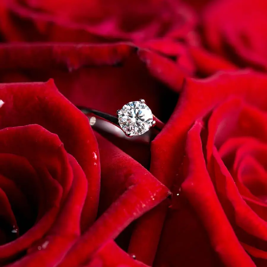 The most special image of a dreamy diamond ring among red roses suitable for mobile