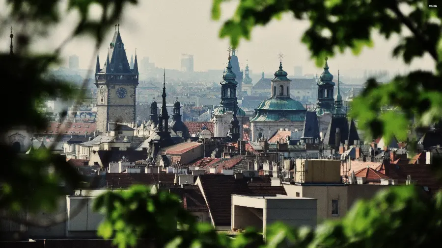 Stock photo and among branches and leaves of religious buildings of urban buildings in HD quality suitable for Instagram
