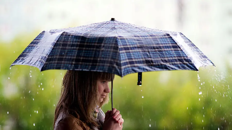 Download background of a cute and innocent girl with a blue checkered umbrella in real rain