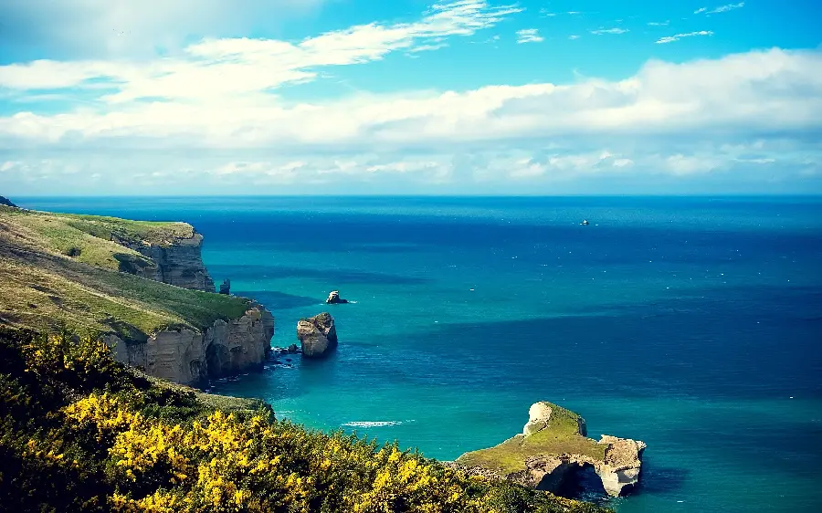 Artistic view of the sparkling blue sea in New Zealand for your profile 