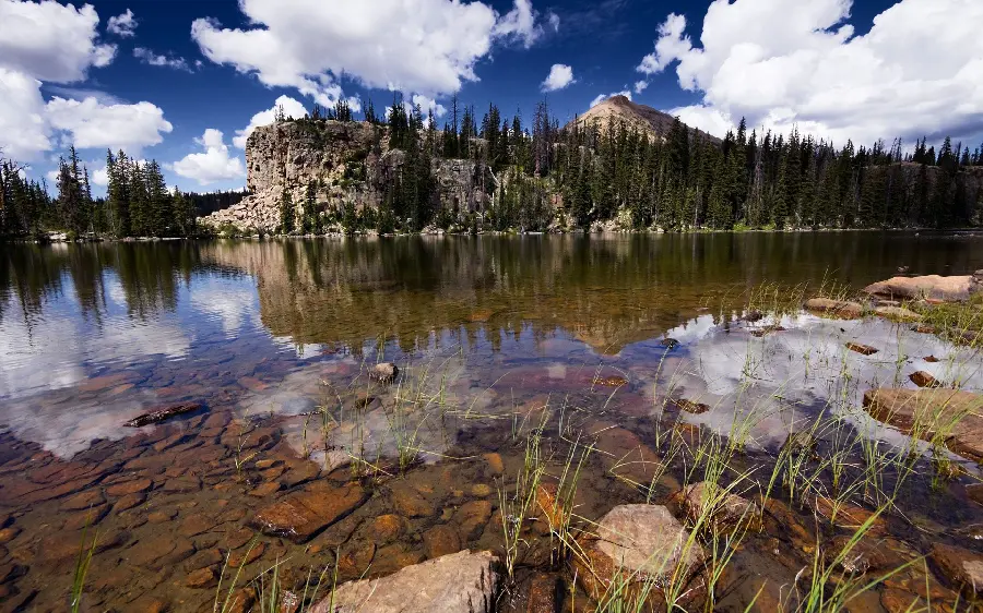 New and pristine wallpaper of wild mountain nature in hd quality suitable for phones