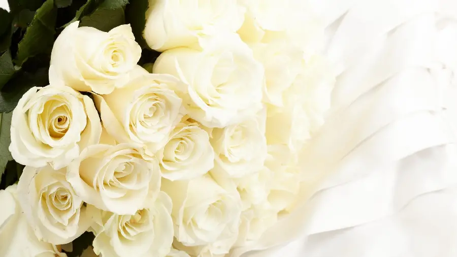 Amazing image of a beautiful white rose bouquet with a white background