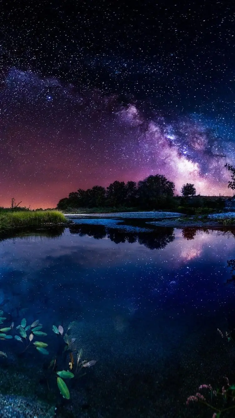 A spectacular and new profile photo for Telegram of a beautiful sky and forest nature and pond in top quality