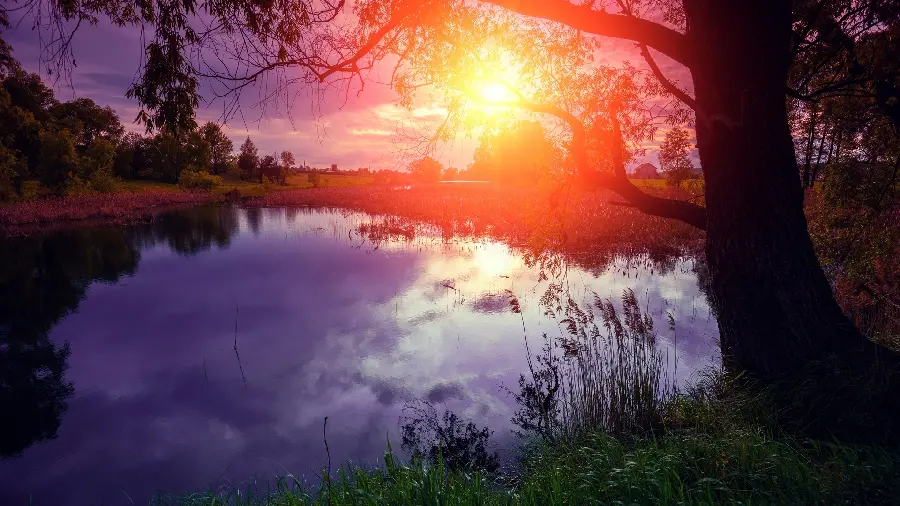 Enchanting nature profile photo for Telegram and WhatsApp