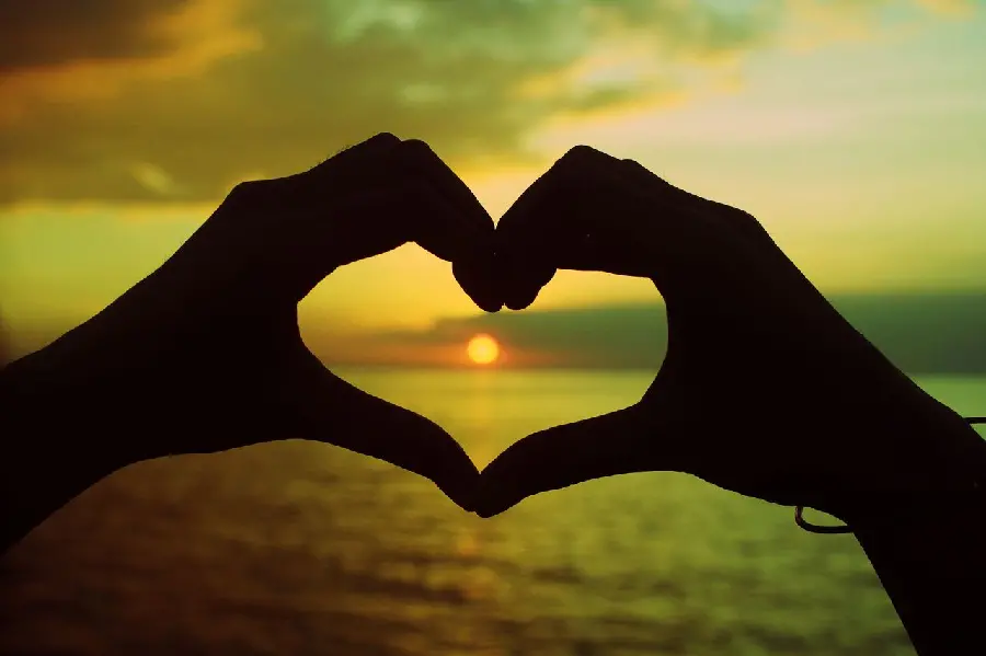 The most special profile of a heart with hands in a green theme of sunset in special quality