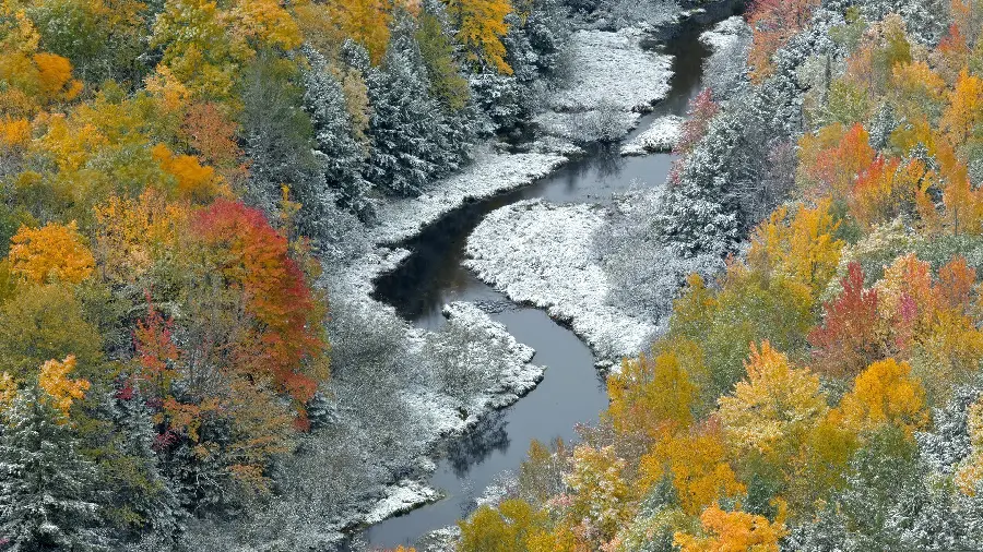 Nature Widescreen Wallpaper with a popular and lovely design 