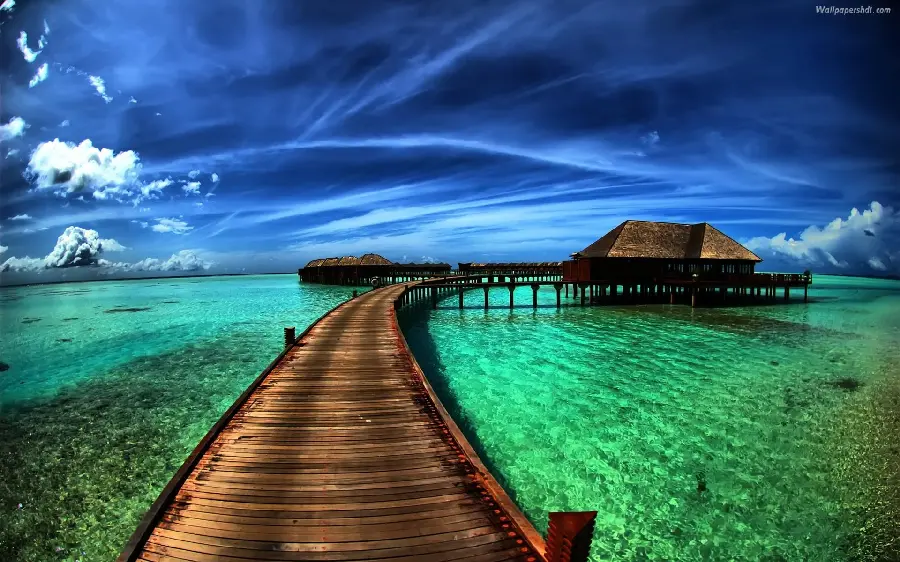 The most attractive photo of beautiful wooden nature on the blue-green sea in HD quality 