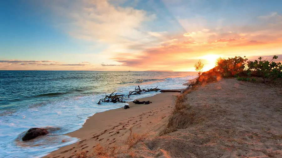 Free download of the best quality sunset profile photo