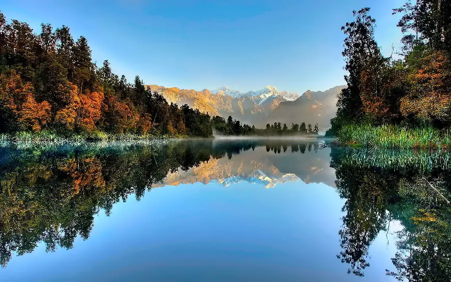 Awesome profile picture of New Zealand autumn nature for WhatsApp