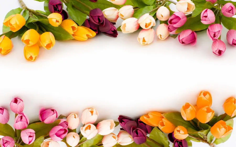 Download decorative background image with pink, burgundy, orange and white tulips suitable for the bride