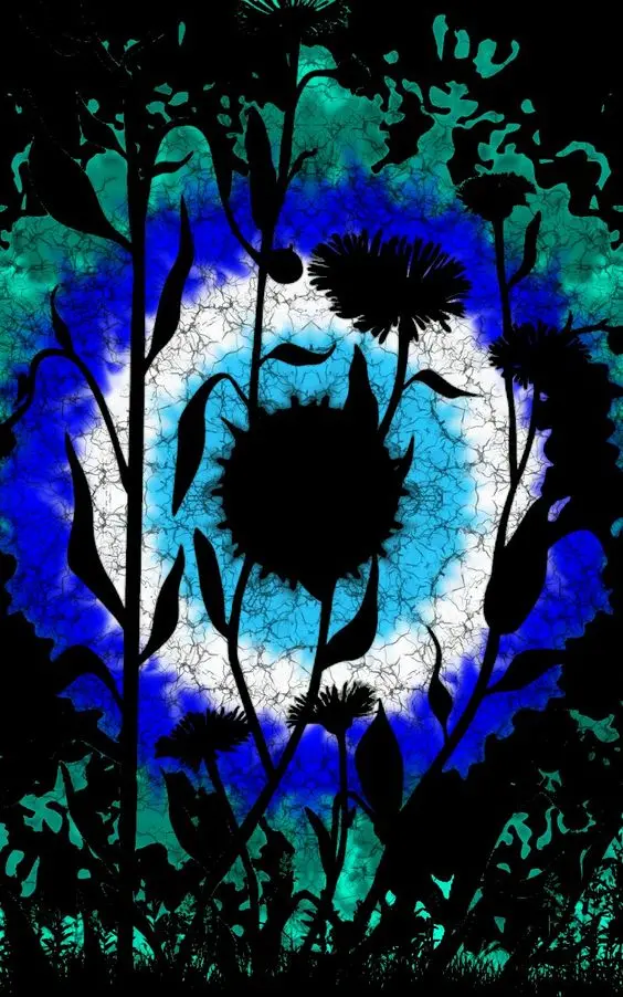 Extremely Beautiful and Special Evil Eye Photo with High Quality