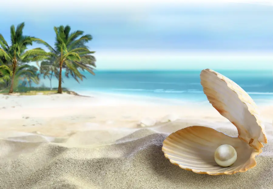 Background image of a beautiful pearl in a shell