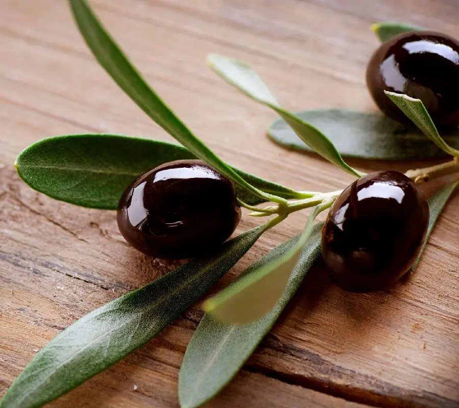 A brilliant image of 3 black olives and their beautiful green leaves in excellent quality for your phone