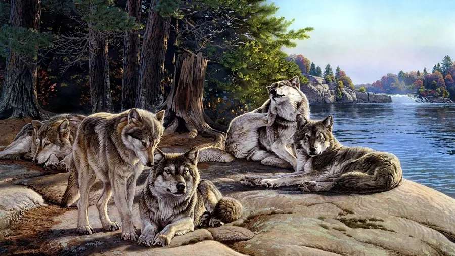 The best graphic photo of a wolf pack near a lake in high quality