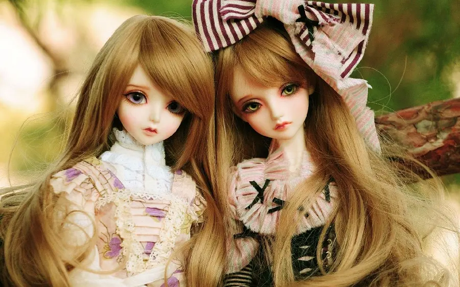 Full HD view of two cute and lovely girl dolls, friend