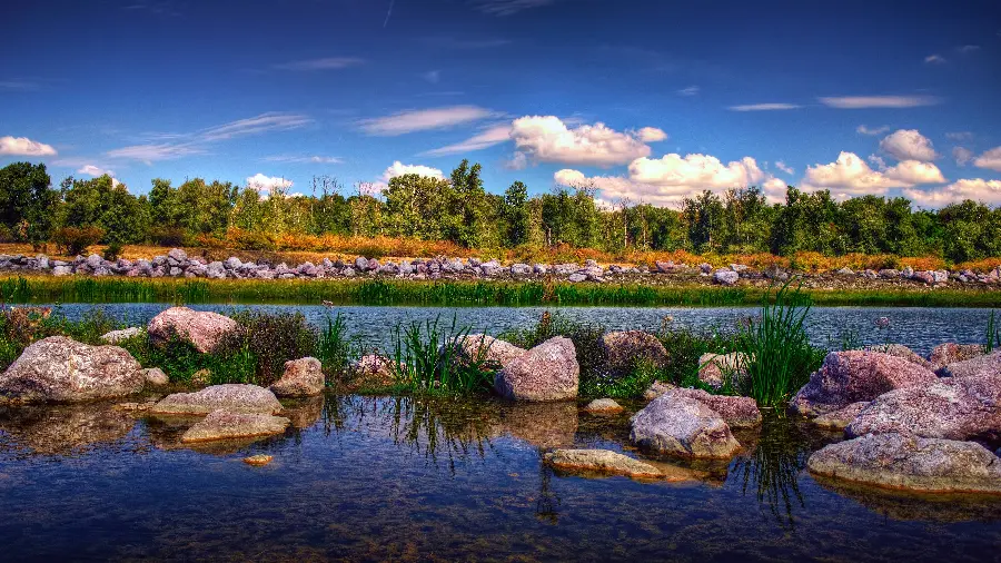 The latest nature wallpaper with an impressive and attractive color theme