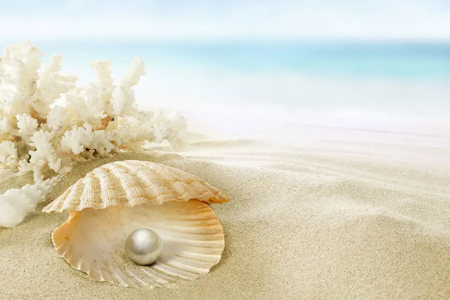 High quality white pearl photo in a shell among the beach sand